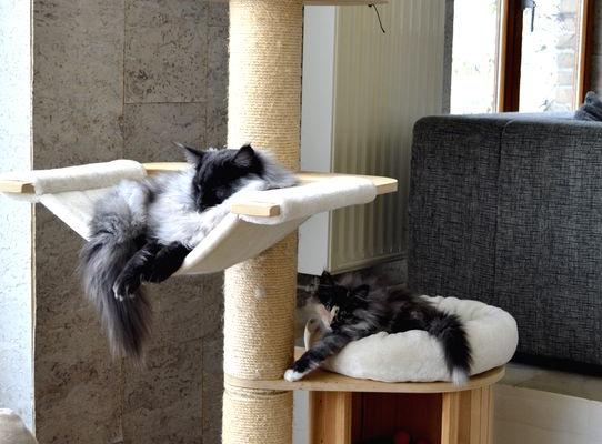Repos au salon
