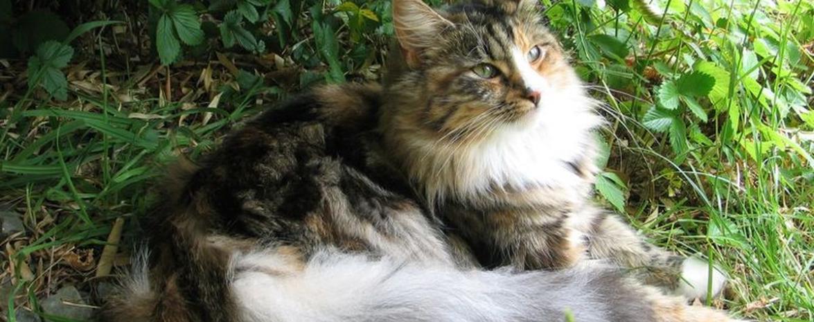 Lilith 10 mois
